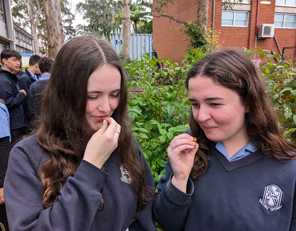 Students in garden