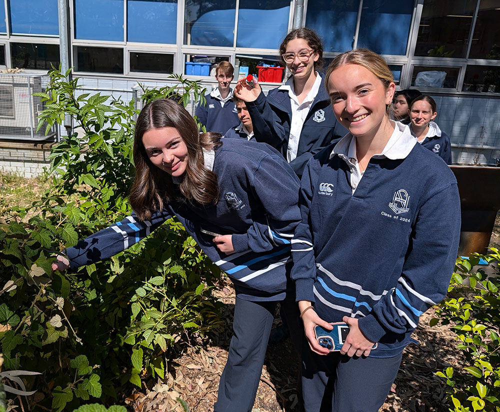 Students in garden