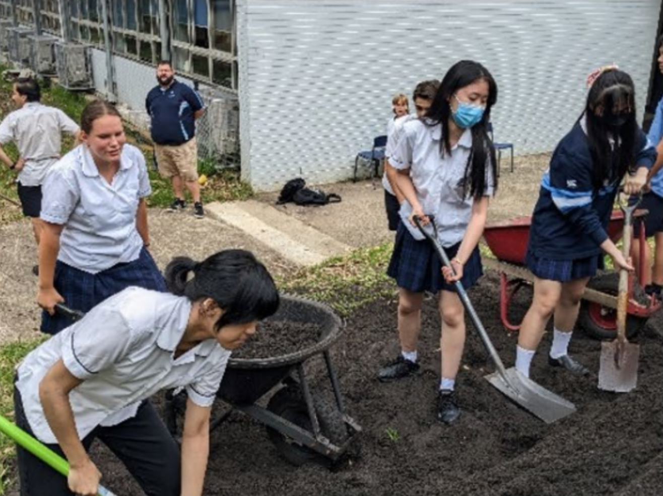 Ladies digging up!